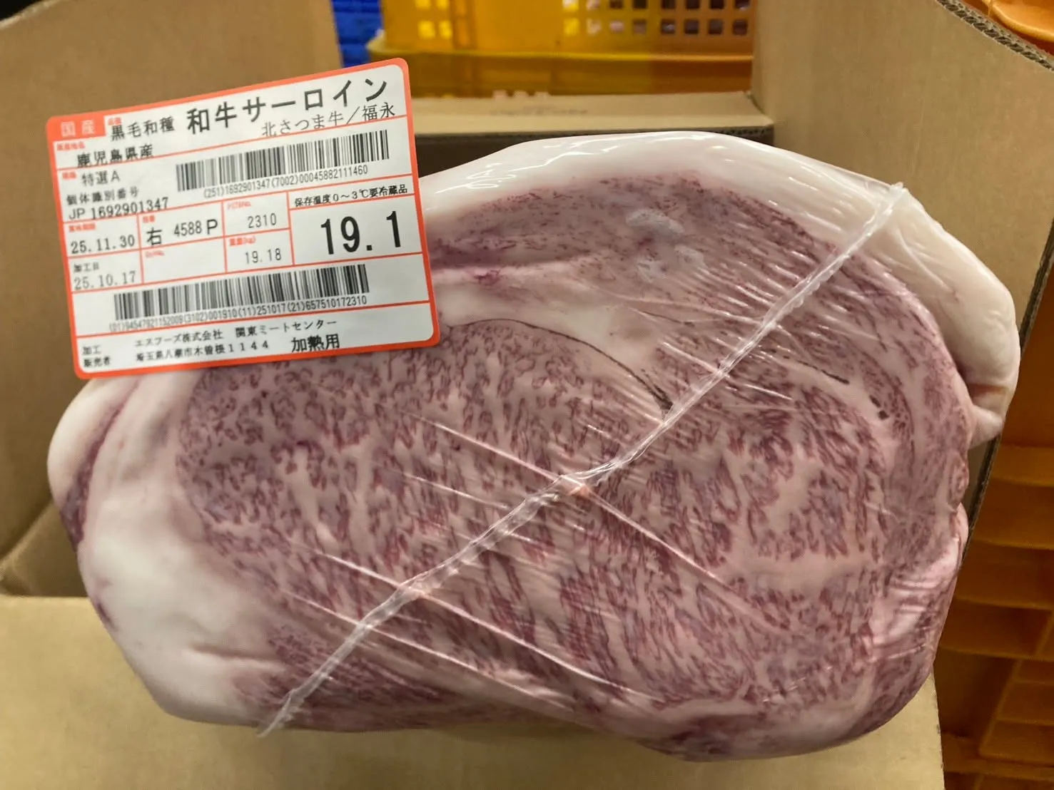 またもやとても綺麗な牛が入ってきました！