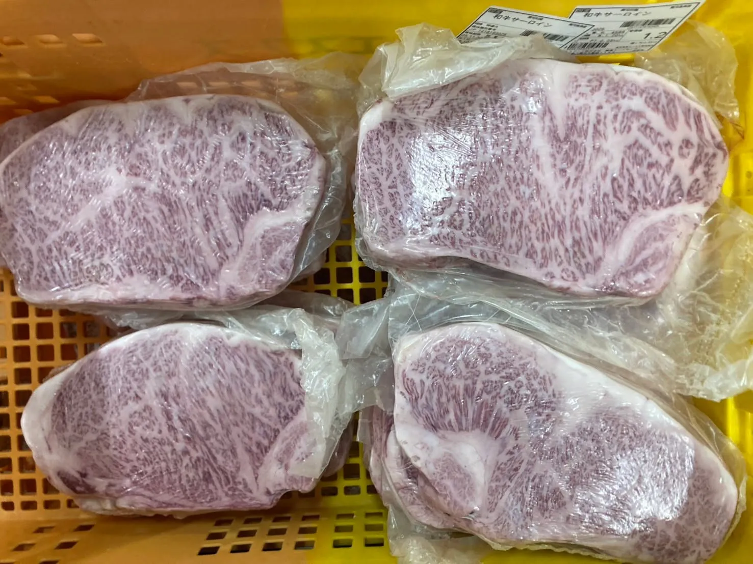 またもやとても綺麗な牛が入ってきました！