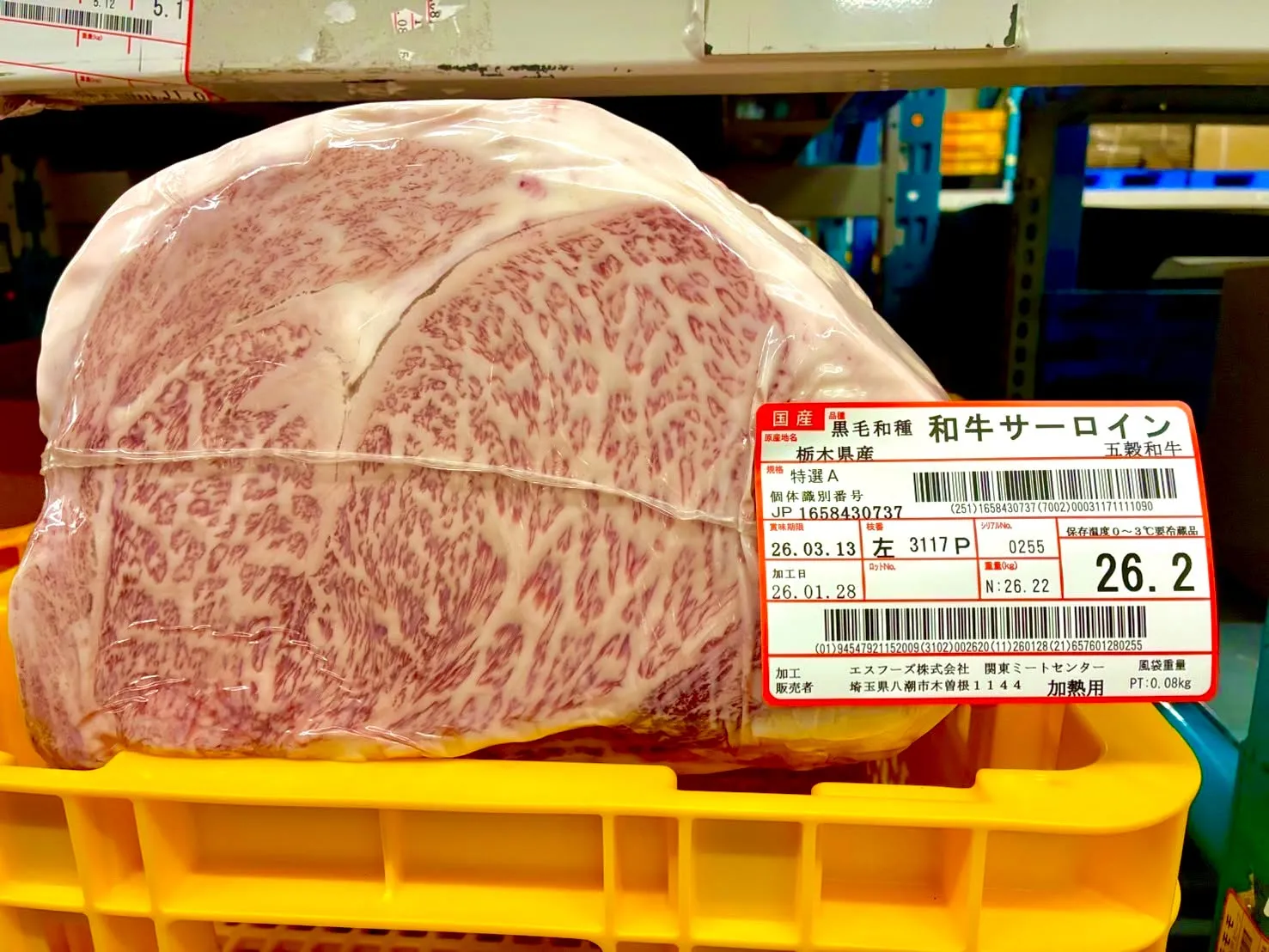 今回もとても綺麗な牛を買い付けしてきました！